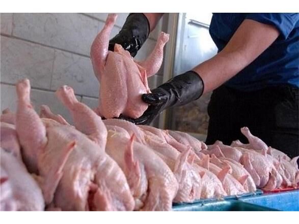 وزارت جهاد کشاورزی برای تامین گوشت مرغ از داخل فراخوان داد