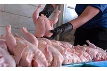 توزیع روزانه 3.5 تن مرغ گرم در سوادکوه