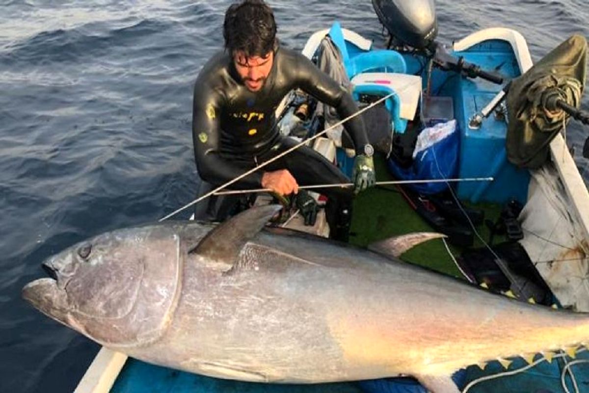 رکورد زدن جوان لبنانی با صید ماهی ۱۳۲ کیلویی+عکس
