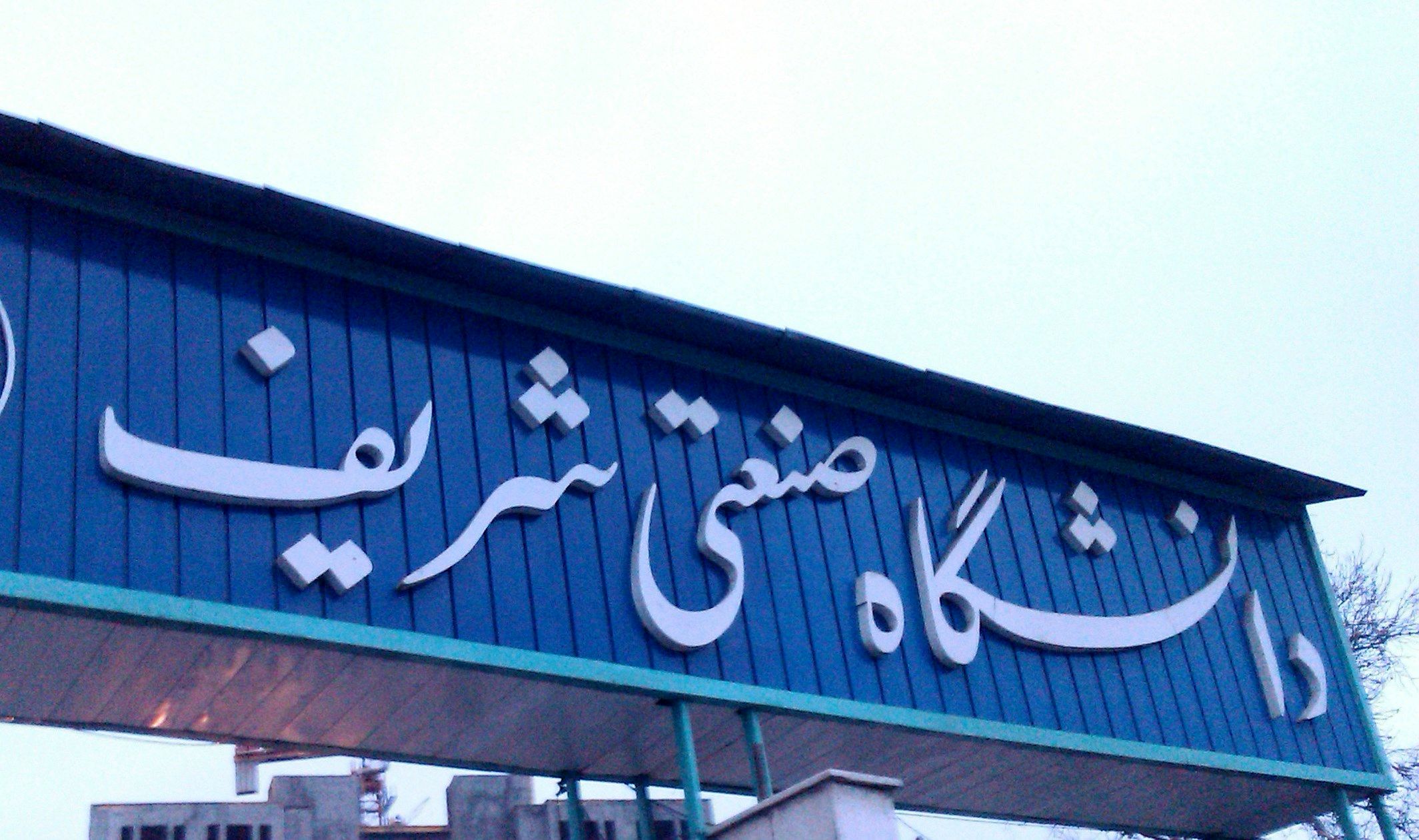 شورای سلول های بنیادی و پزشکی در دانشگاه شریف راه اندازی می شود