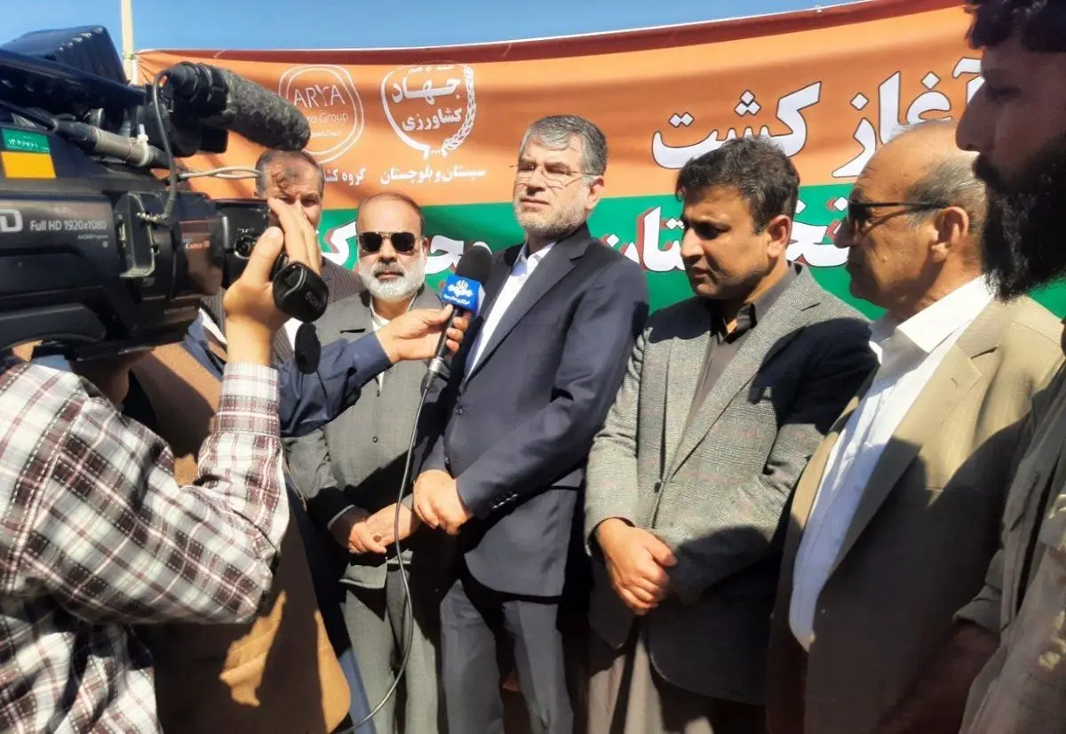بی نیازی کشور به واردات موز در گرو افزایش سطح موزستان در استان سیستان و بلوچستان