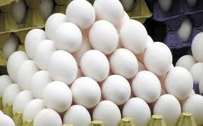 گرانی تخم مرغ با سودجویی مغازه داران