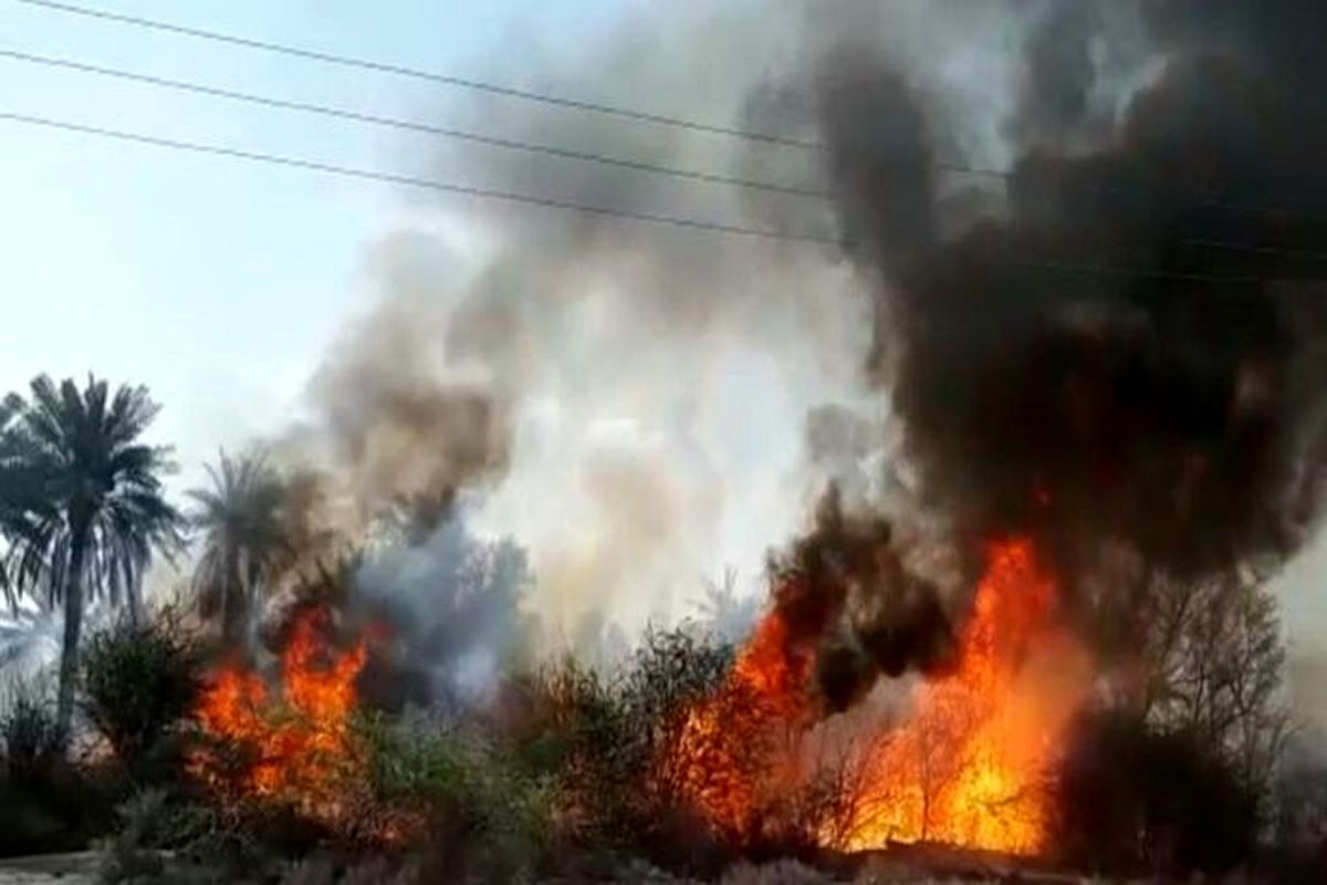 باغ های ایستگاه تحقیقات کشاورزی و منابع طبیعی میناب در آتش سوخت