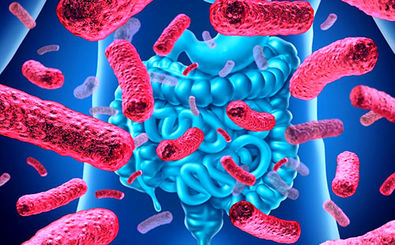 فعالیت باکتری‌های روده، شیوع انفولانزا در بدن را کاهش می‌دهد