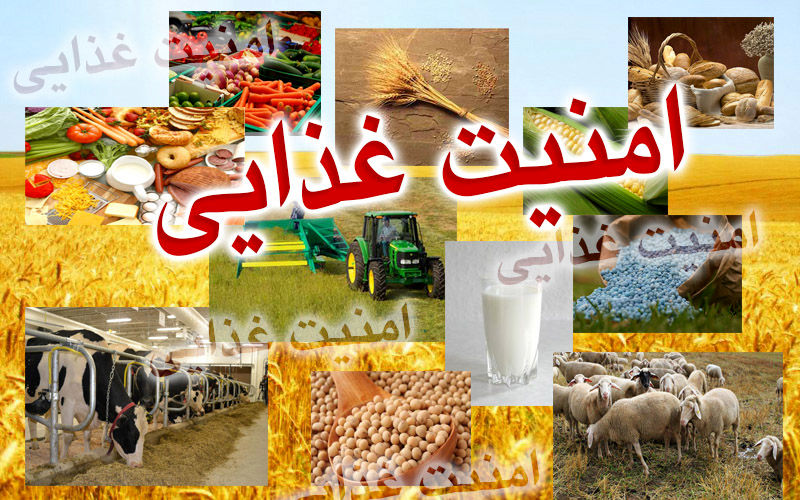 اجرای طرح بزرگ امنیت غذایی در خراسان رضوی 