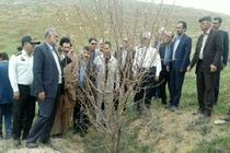 وزیر جهاد کشاورزی از طرح‌های شاخص بازدید کرد