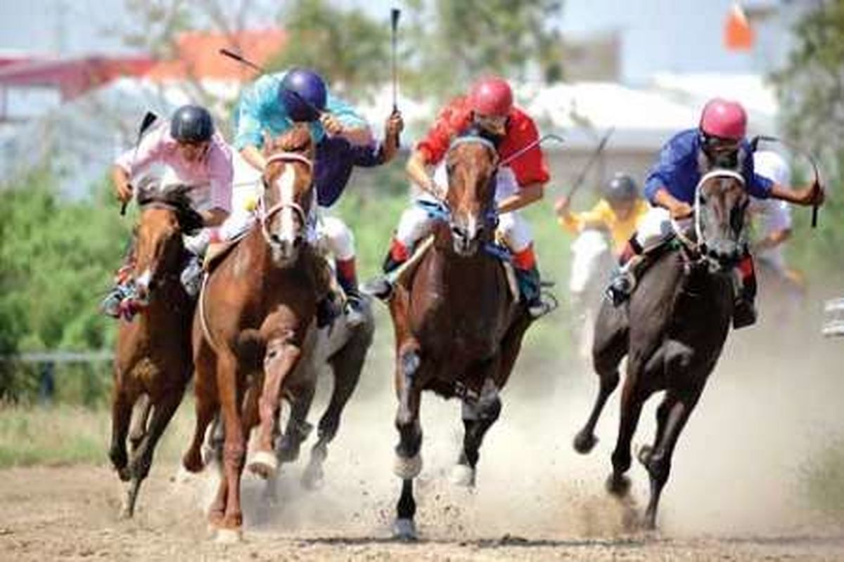مسابقات اسب دوانی استان لرستان در بروجرد برگزار شد