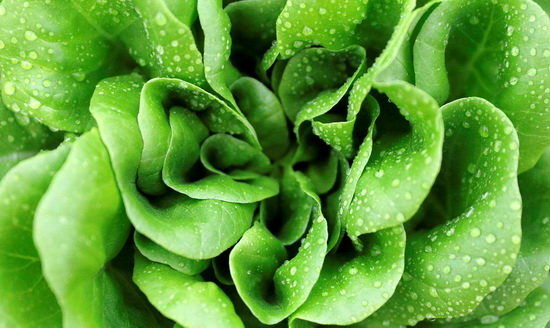 مصرف سبزیجات برگ‌دار خطر ابتلا به زوال عقلی را کاهش می‌دهد