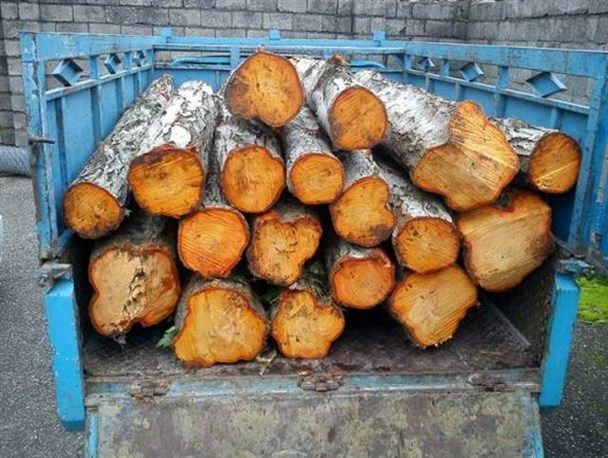 یک نیسان حامل چوب قاچاق در نکا توقیف شد
