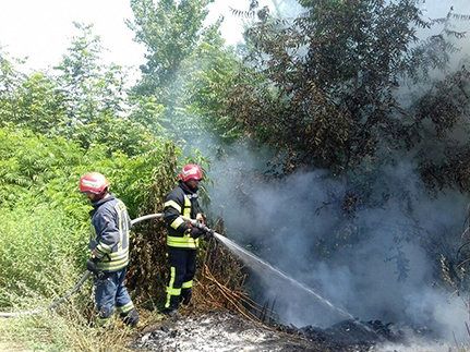 هشدار سازمان آتش نشانی نسبت به ایمنی در برابر وزش باد گرم در گیلان