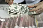 جدیدترین قیمت ارزها در بازار آزاد امروز ۷ آبان ۱۴۰۴