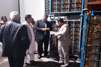 تامین ۲۰۰ تن میوه شب عید در سیستان وبلوچستان 
