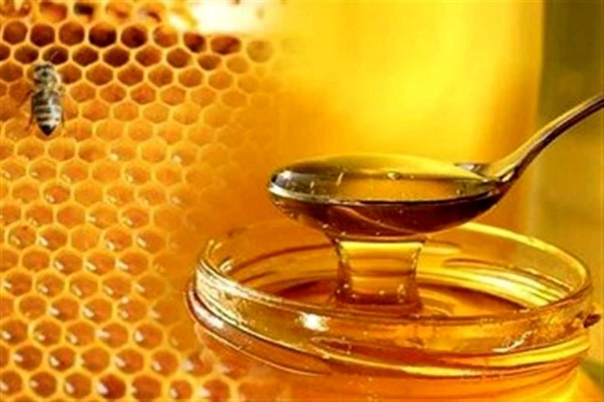 کشف بیش از یک تن عسل تقلبی در نجف آباد 