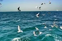 هرمزگان گرم‌تر می‌شود