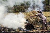 پیگرد قانونی سوزاندن ضایعات کشاورزی در آستانه اشرفیه