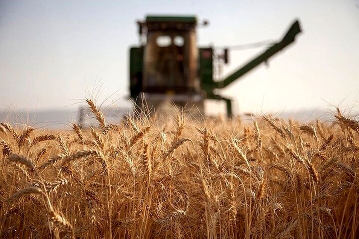 New record in Iran's agriculture exports