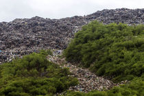 پیشنهاد استفاده از ظرفیت صندوق توسعه ملی برای اتمام پروژه زباله‌سوز رشت