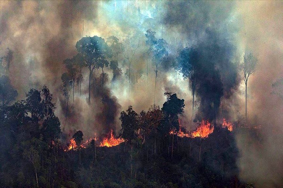 برزیل کمک گروه جی 7 در مورد آتش سوزی جنگل های آمازون را رد کرد