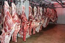 تقاضا برای گوشت کاهش یافته است / احتمال کاهش تولید گوشت در سال های آینده