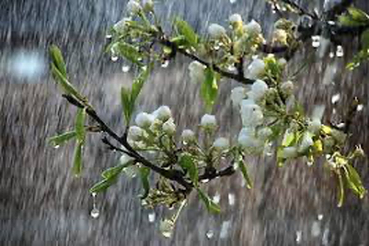سامانه بارشی امروز و فردا در استان تشدید میشود
