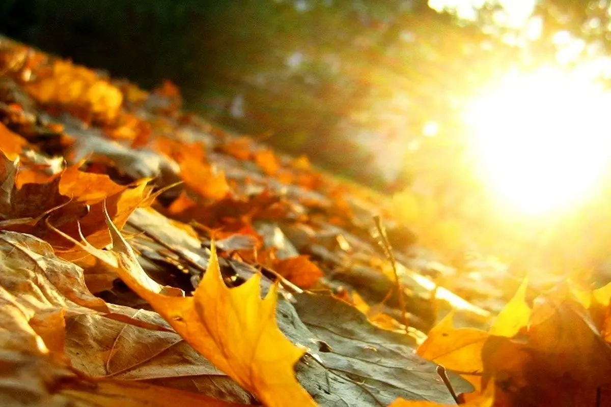 کارشناس اداره‌کل هواشناسی مازندران