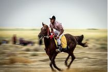 جشنواره منطقه‌ای اسب بومی و کرد در اردبیل برگزار می‌شود