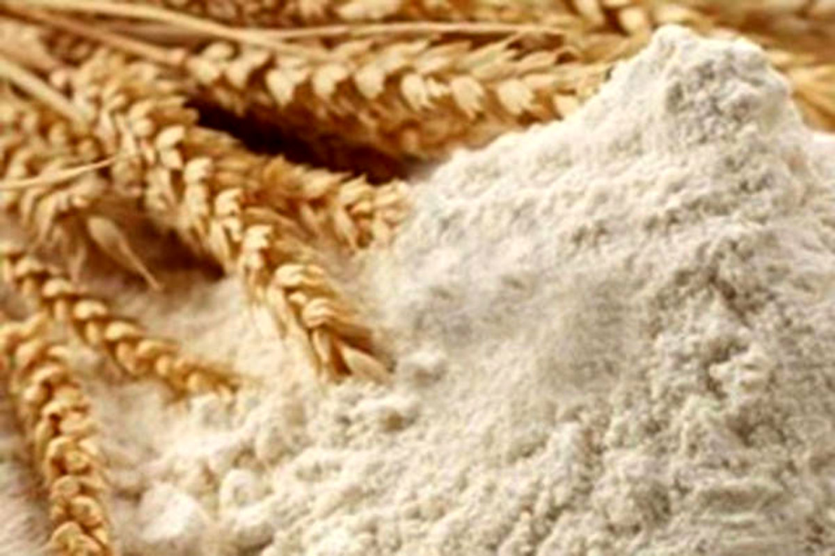 ۵۰۰ میلیون ریال آرد قاچاق در کبودرآهنگ کشف شد