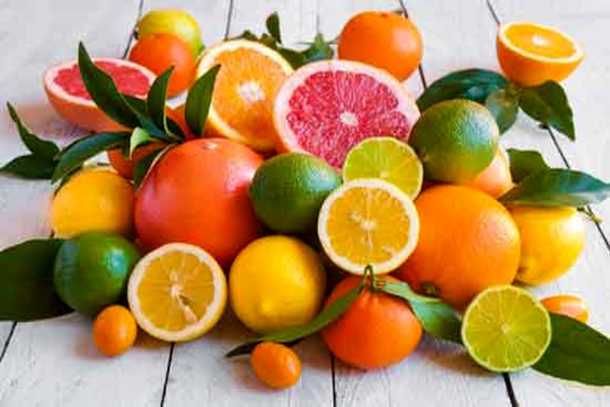 تولید 3400 تن نارنج و لیموشیرین در آمل