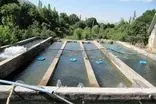 بازگشت مزرعه پرورش ماهیان سردآبی در اردبیل به چرخه تولید با ظرفیت ۷ تن