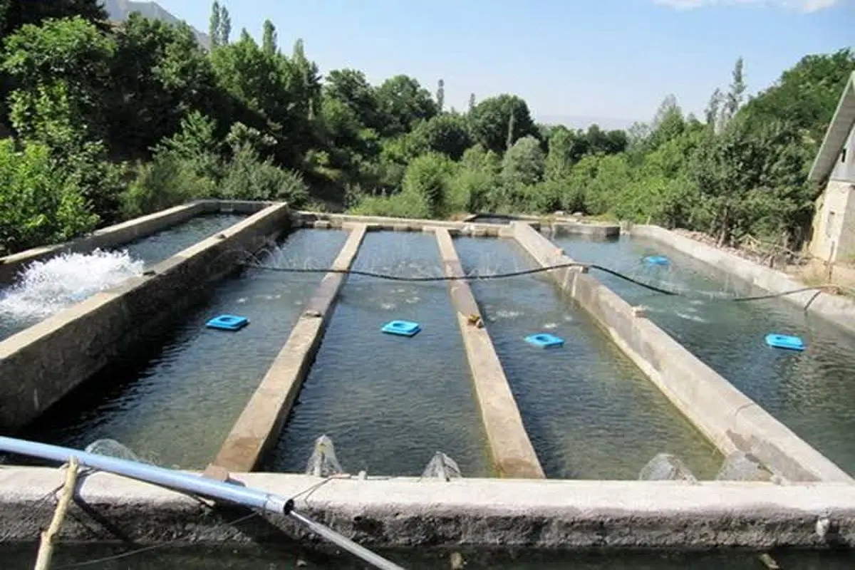 بازگشت مزرعه پرورش ماهیان سردآبی در اردبیل به چرخه تولید با ظرفیت ۷ تن