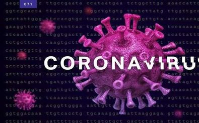 شناسایی 14 بیمار جدید مبتلا به کرونا در اصفهان 