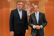دیدار رئیس سازمان انرژی اتمی ایران با گروسی و لیخاچیوف 