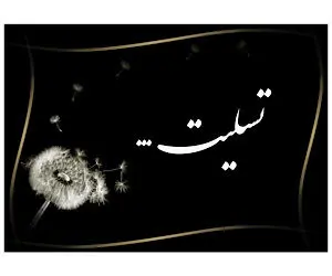 پیام تسلیت معاون وزیر و رییس سازمان راهداری و حمل و‌نقل جاده‌ای در پی درگذشت سه نفر از راهداران استان فارس