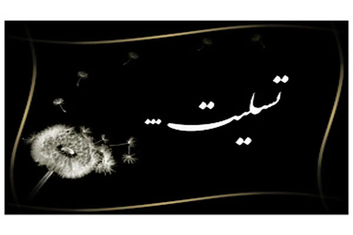 پیام تسلیت معاون وزیر و رییس سازمان راهداری و حمل ونقل جادهای در پی درگذشت سه نفر از راهداران استان فارس