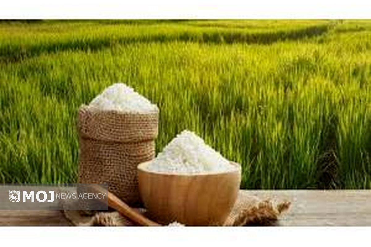 روش نگهداری برنج در خانه
