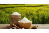 روش نگهداری برنج در خانه