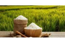 نرخ برنج امسال به نفع کشاورزان خواهد بود