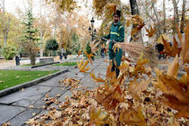 جمع آوری ۲ هزار تن برگ پاییزی در اصفهان
