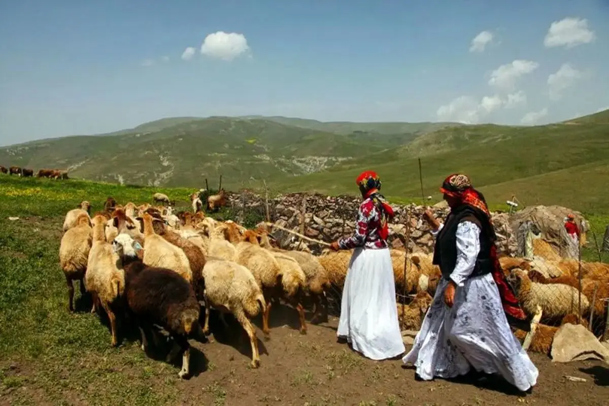 عشایر
