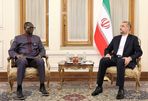 Iran prioritizes the enhancement of relations with African nations