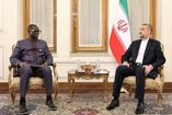 Iran prioritizes the enhancement of relations with African nations