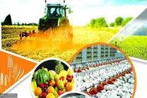 ظرفیت‎‌های کشاورزی استان در تحقق شعار جهش تولید موثر خواهد بود