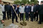 وزیر صمت در اقدامی نمادین، نهالی را در فولاد مبارکه غرس کرد
