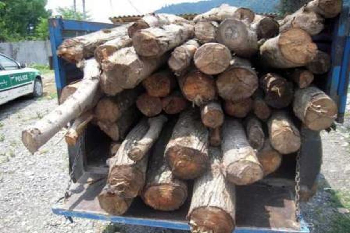 دستگیری متخلف قاچاق چوب در شهرضا