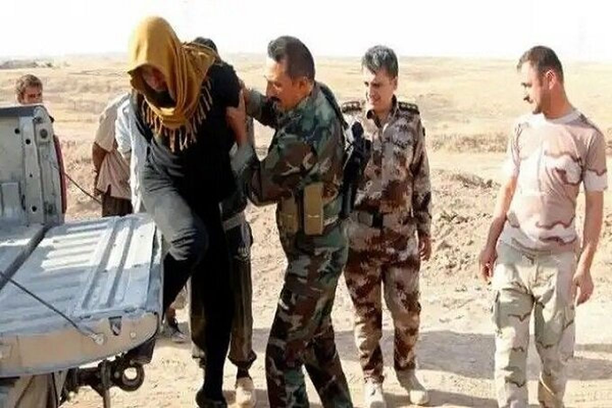 بازداشت تعدادی تروریست به دست نیروهای عراقی در استان الانبار
