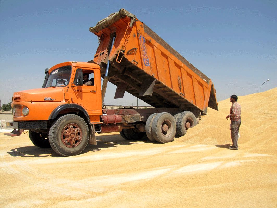 خرید گندم مازاد بر نیاز کشاورزان از مرز ۴٫۲ میلیون تن فراتر رفت