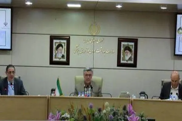 دولت بر اجرای سریع مصوبات شورای عالی سلامت تأکید کرد