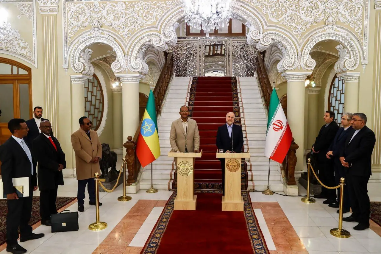 کمیسیون مشترک اقتصادی بین ایران و اتیوپی در زمان کوتاهی تشکیل شود