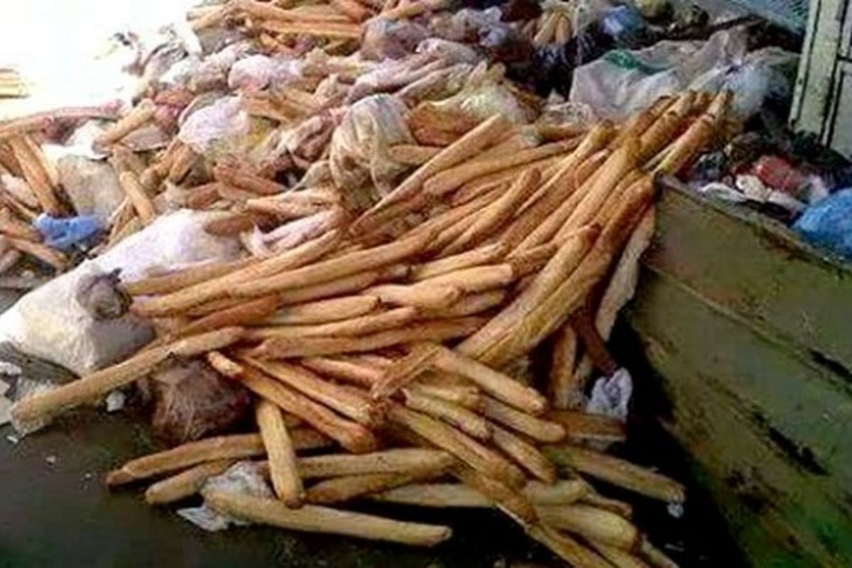 روزانه سه میلیون نان در الجزایر دور ریخته می شود