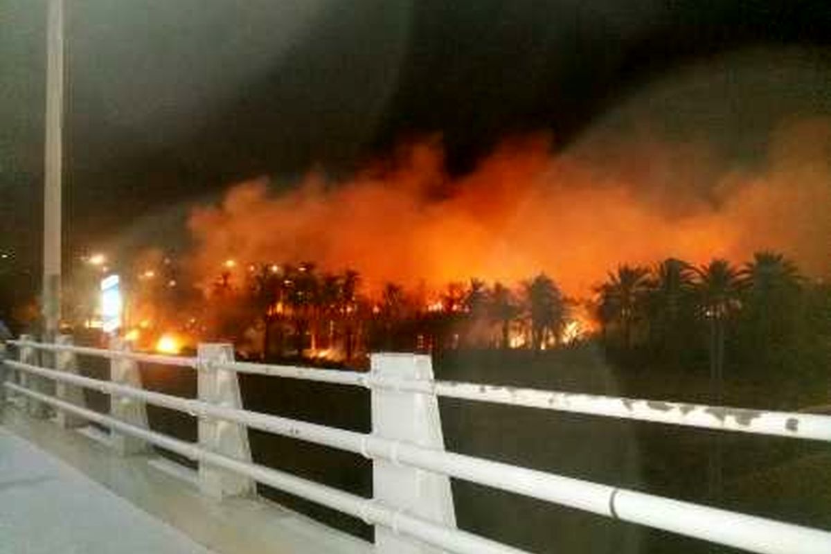 آتش سوزی در نخلستان های طویشه آبادان مهار شد